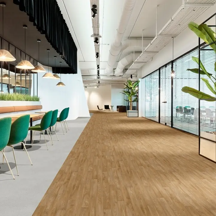 L52view.webp