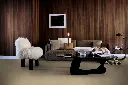 51d03a75d449a18927044d7119ef8dec_1920x1280.webp