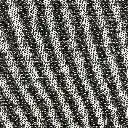 SHALE.webp