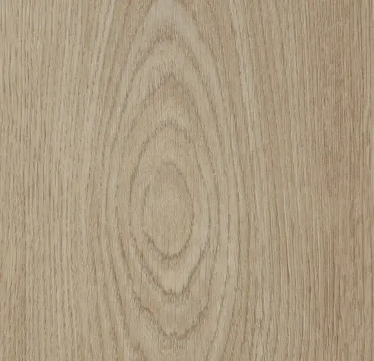 Light timber.webp