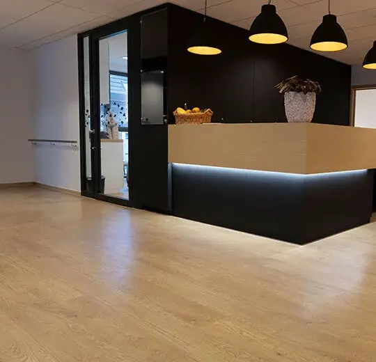 Honey Elegant OAk interieur.webp