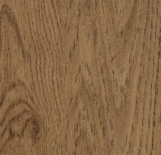 Amber elegant oak.webp