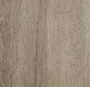 Grey Autumn oak.webp