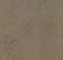 Canyon Cement.webp