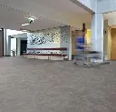 Natural Concrete 100.webp