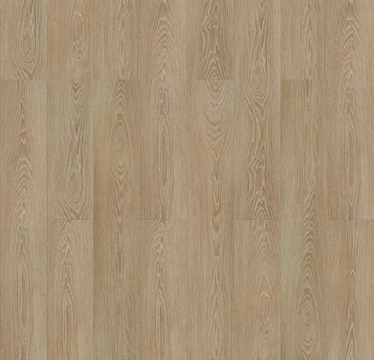Blond Timber close.webp