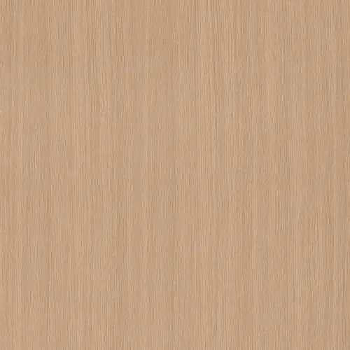 23119_1.webp