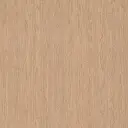 23119_1.webp