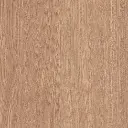 23004_1.webp