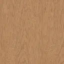 23010_1.webp