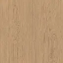 23009_1.webp