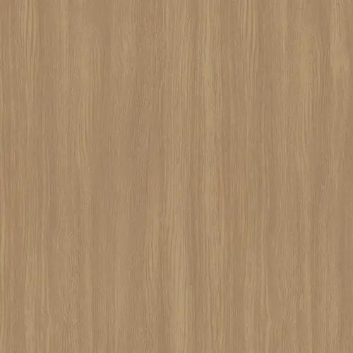 folie_stralende_eik_1_1.webp