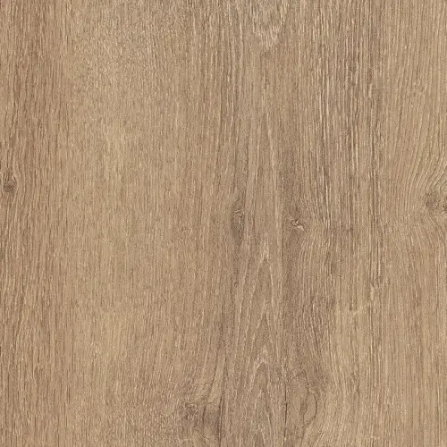 23166_1.webp