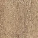 23166_1.webp