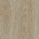 23209_1.webp