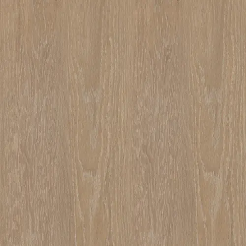 23238_1.webp