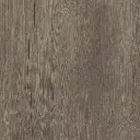 23164_1.webp