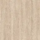 23113_1.webp