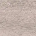 23131_1.webp