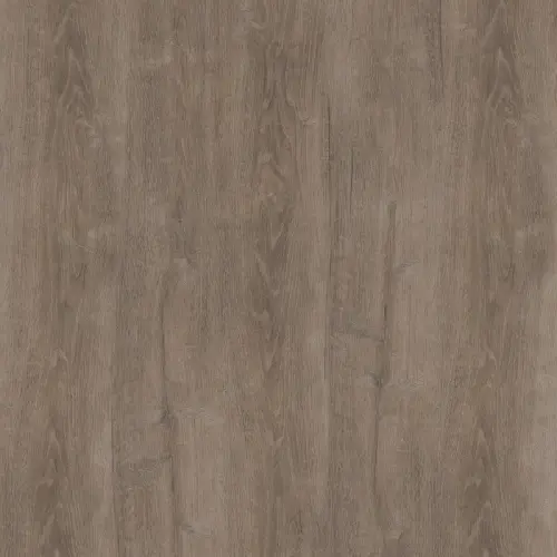 67239_1_1.webp