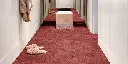 SPBETA_14_ROOMSHOT.webp