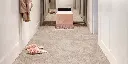 SPBETA_33_ROOMSHOT.webp