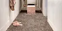SPBETA_47_ROOMSHOT.webp