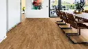 Tailored Collection Eiken Malbec 205  1.webp