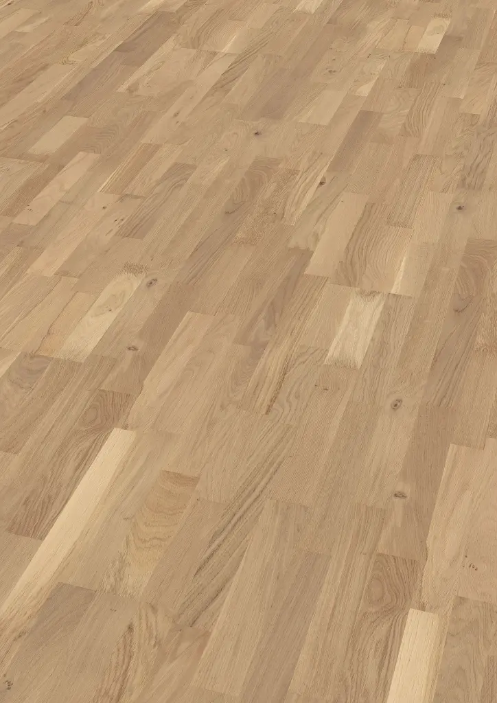 b1.19.f8.11013125041101312512FPOFPersV01 (1).webp