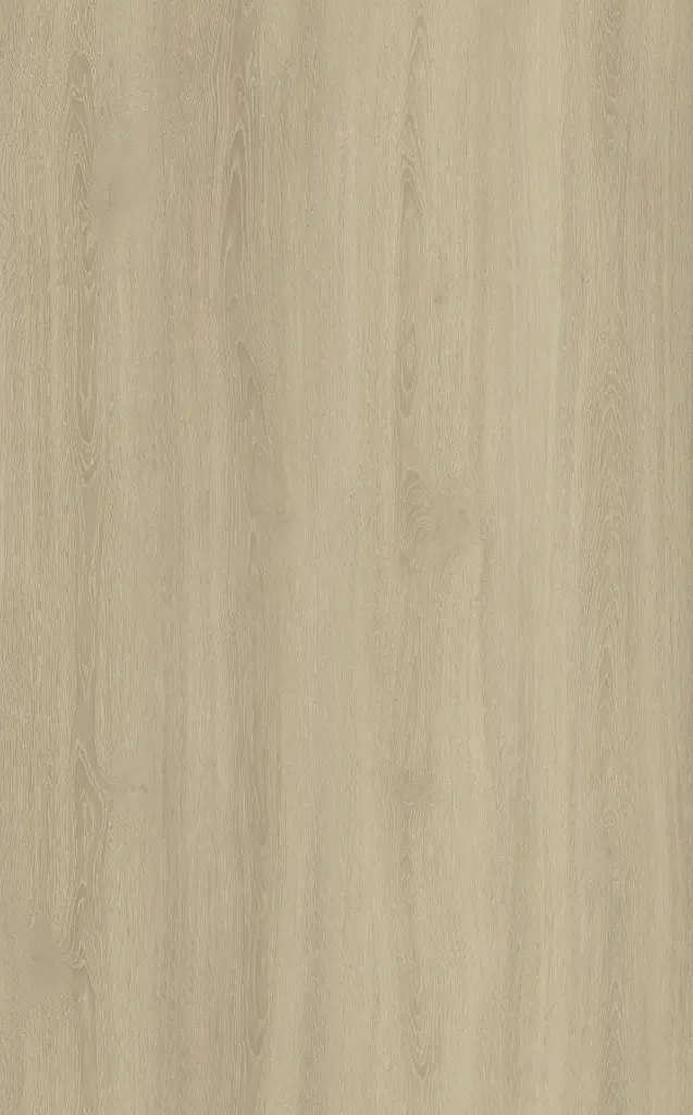 Aeternum Grain SPC (1).webp