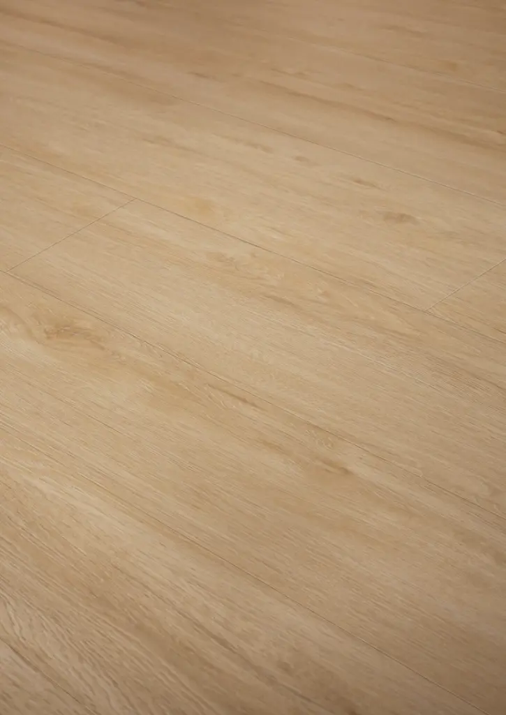 WhatsApp Image 2026-01-30 at 13.16.26.webp