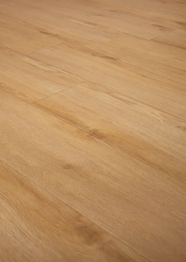 WhatsApp Image 2026-01-30 at 13.16.48.webp