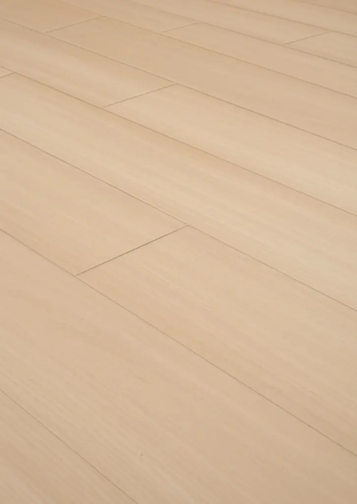 WhatsApp Image 2026-01-30 at 13.56.55.webp