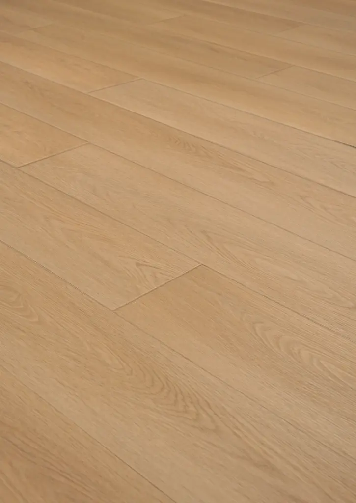 WhatsApp Image 2026-01-30 at 14.03.27.webp