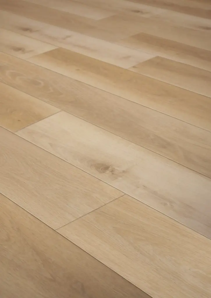 WhatsApp Image 2026-02-02 at 13.21.08.webp