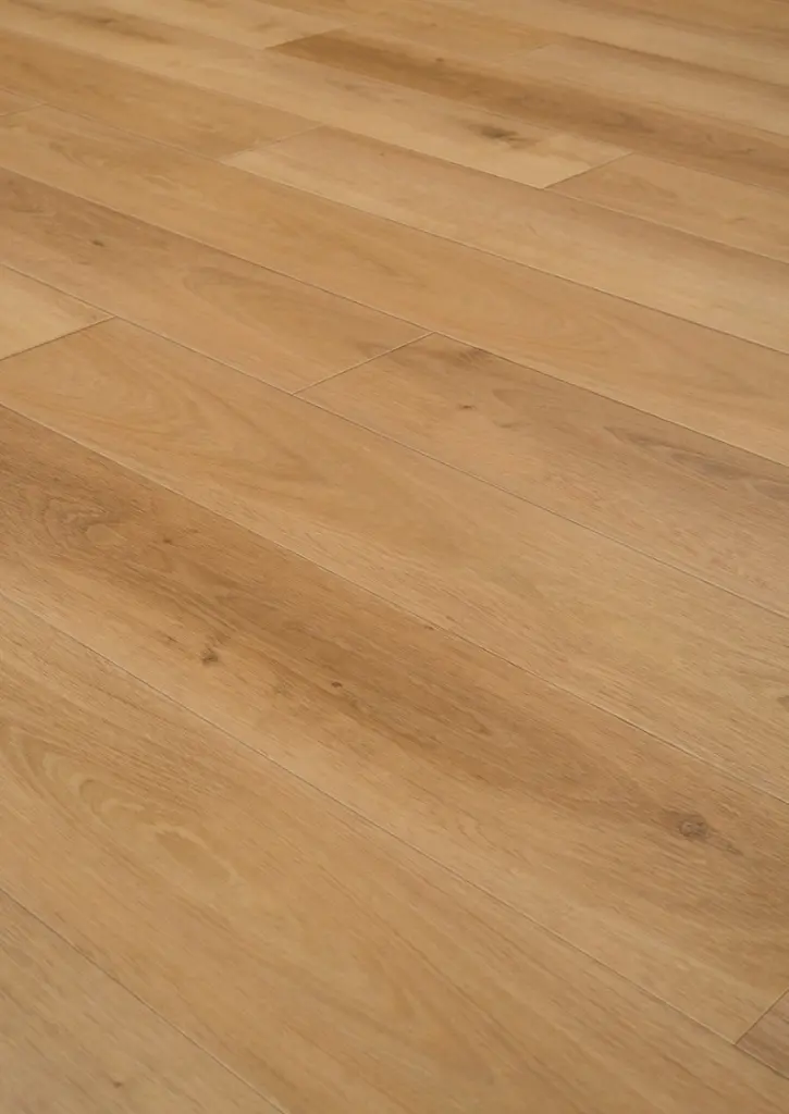 WhatsApp Image 2026-02-02 at 14.20.28.webp