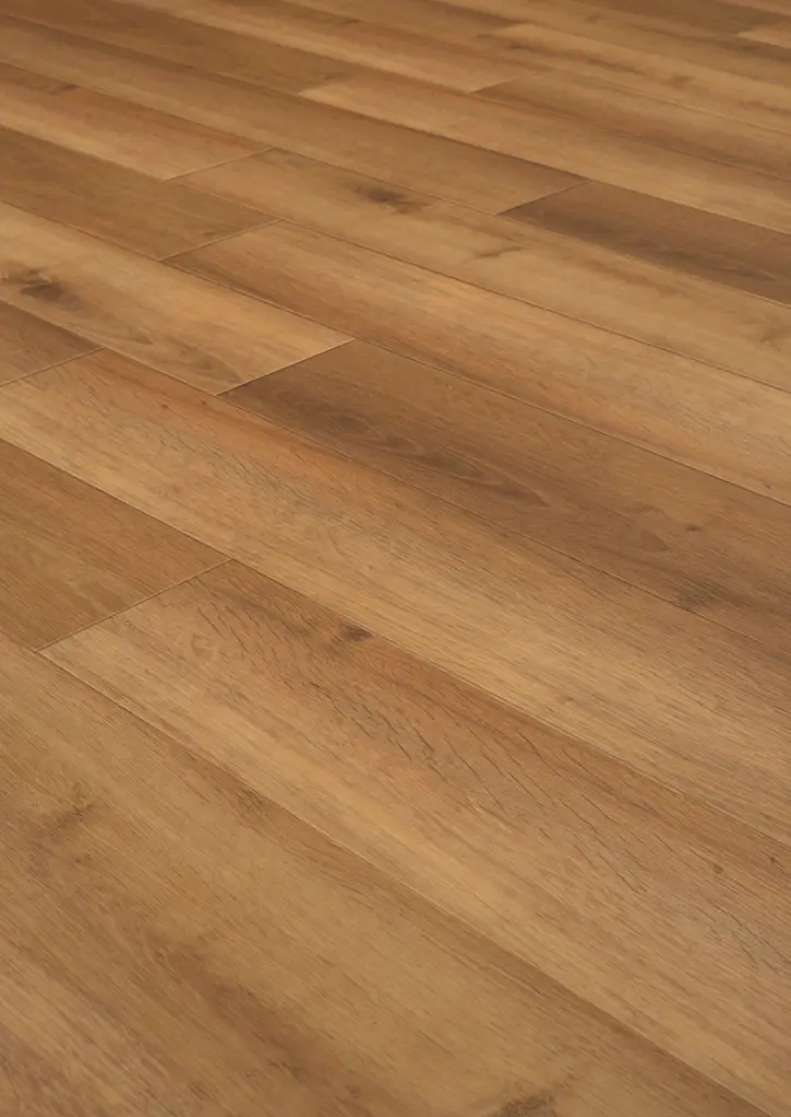 WhatsApp Image 2026-02-02 at 14.21.03.webp