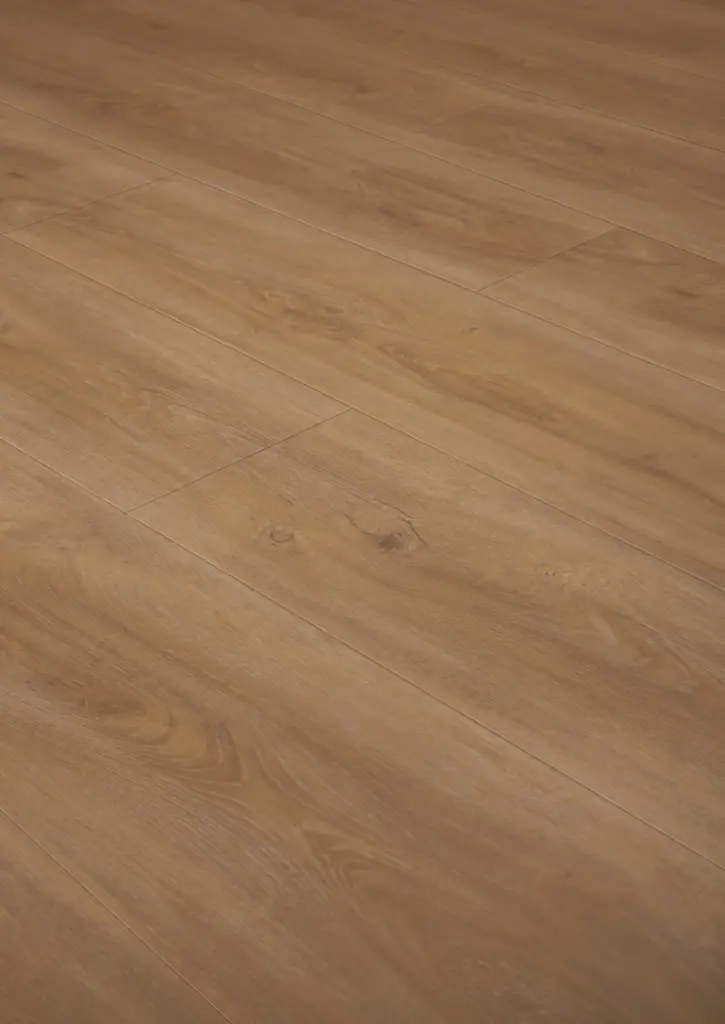 WhatsApp Image 2026-02-02 at 16.17.28.webp