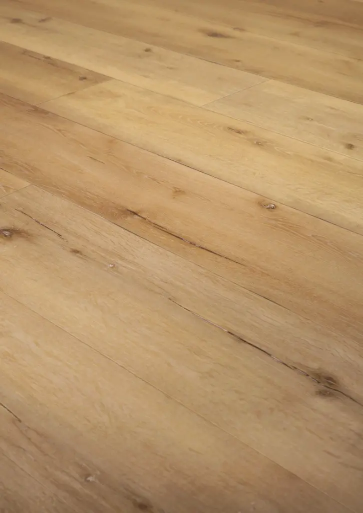 WhatsApp Image 2026-02-16 at 09.51.25.webp