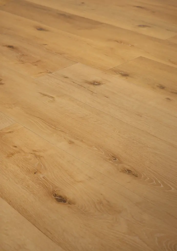 WhatsApp Image 2026-02-16 at 09.52.04.webp