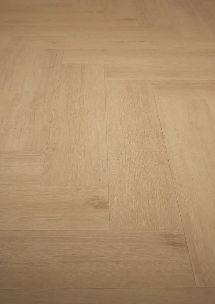 WhatsApp Image 2026-02-16 at 11.00.13.webp