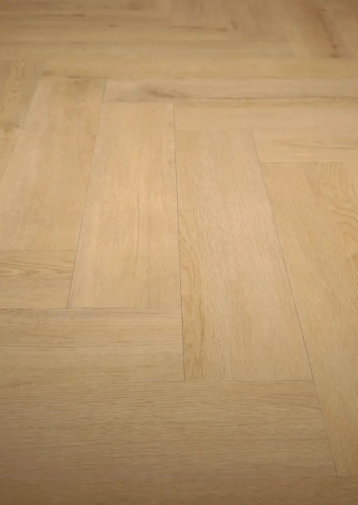 WhatsApp Image 2026-02-16 at 11.00.37.webp