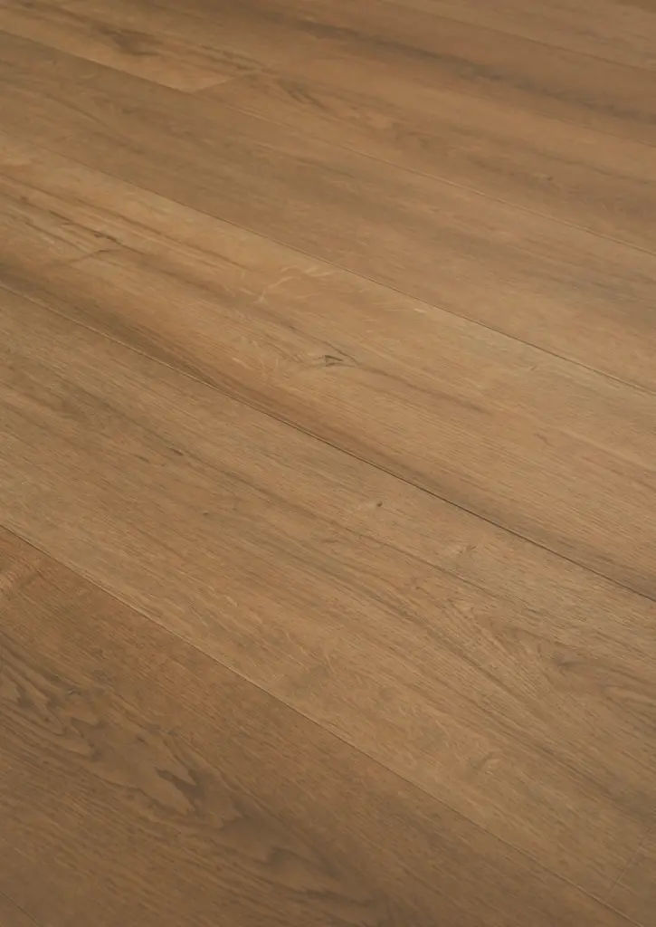 WhatsApp Image 2026-02-02 at 16.28.27.webp