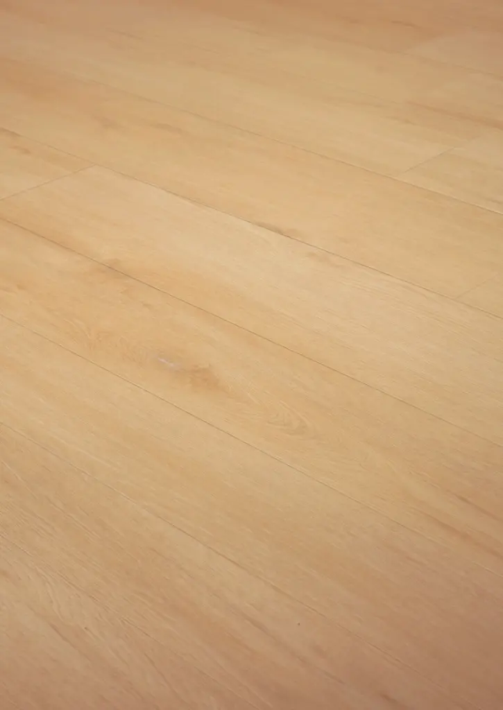 WhatsApp Image 2026-01-30 at 13.16.02.webp