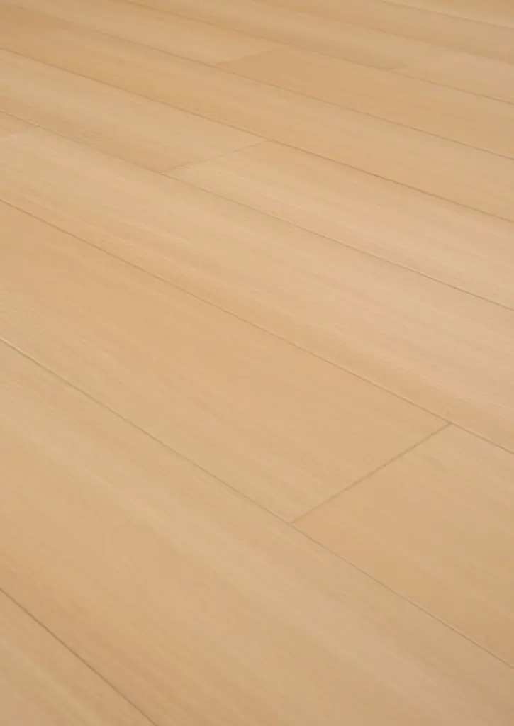 WhatsApp Image 2026-01-30 at 13.57.18.webp