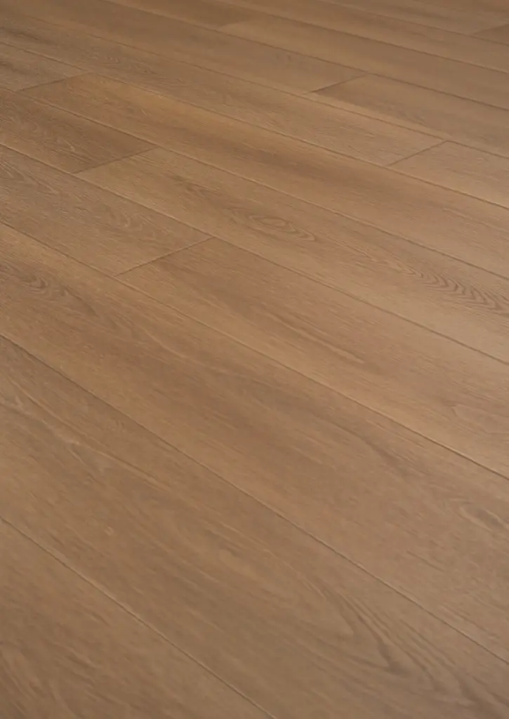 WhatsApp Image 2026-01-30 at 14.03.53.webp