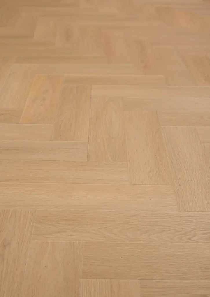 WhatsApp Image 2026-02-16 at 12.23.57.webp