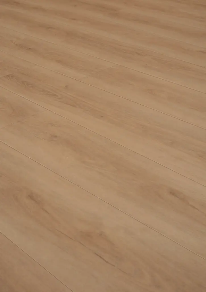 WhatsApp Image 2026-02-02 at 16.15.32.webp