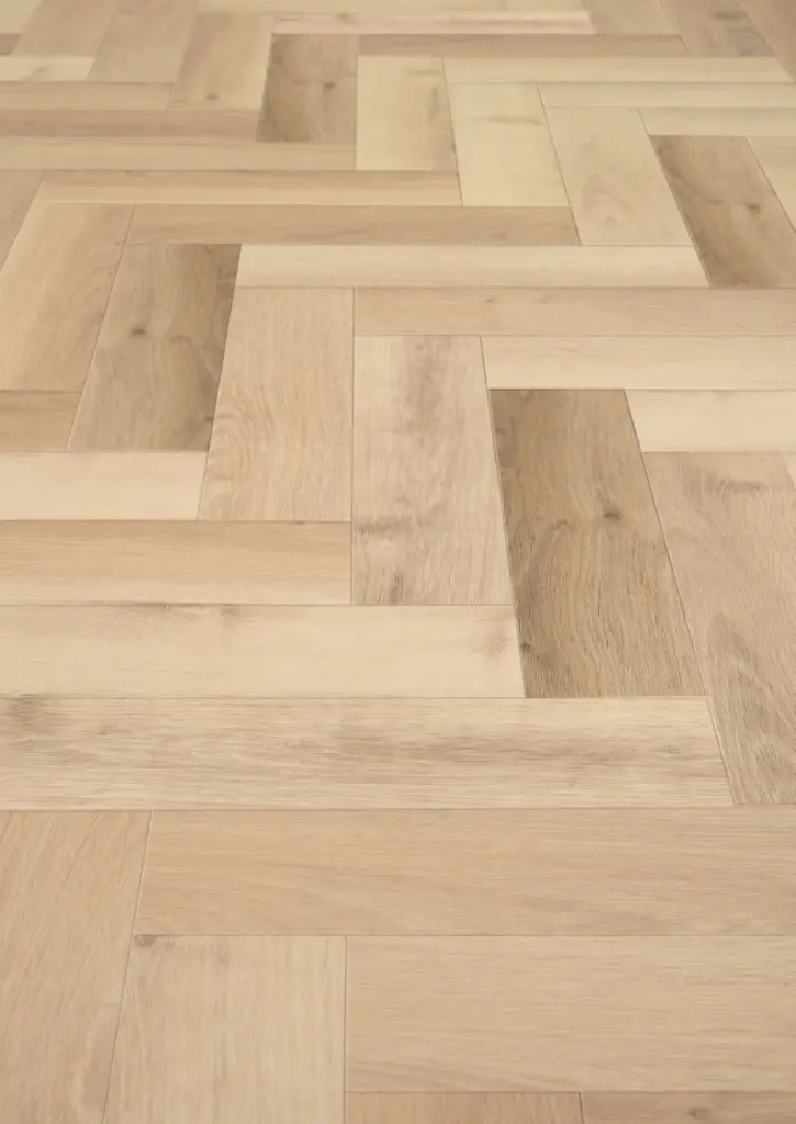 WhatsApp Image 2026-02-16 at 15.25.04.webp