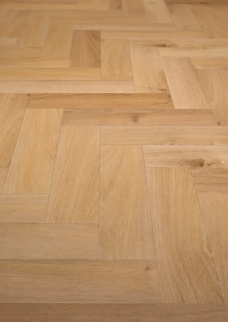 WhatsApp Image 2026-02-16 at 15.25.48.webp